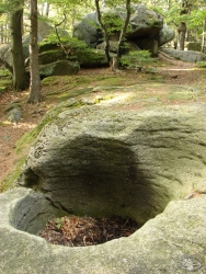 Powiększ kociołek wietrzeniowy na drewniaku, karkonosze.jpg